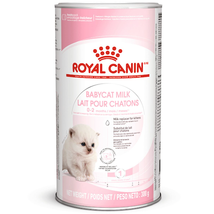 Baby-cat-milk-royal-canin-e1704362806980.png
