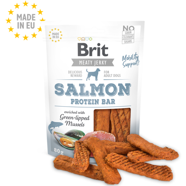 Salmon_Protein_Bar-1-e1719069573333.png